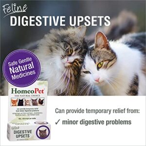 HomeoPet Feline Digestive Upsets, Natural Digestive Supplement for Cats, 15 Milliliters