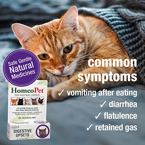 HomeoPet Feline Digestive Upsets, Natural Digestive Supplement for Cats, 15 Milliliters