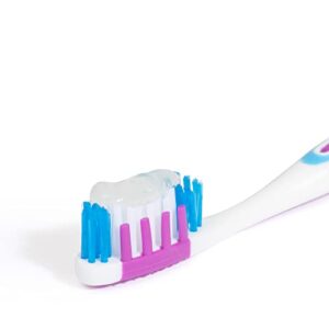 Epic Xylitol Toothpaste - Sugar Free & Aspartame Free Toothpaste Sweetened w/ Xylitol for Clean Teeth & Gum Health (Spearmint, 4.9oz Tube, 2 Tubes)