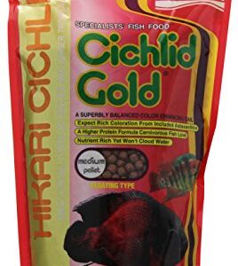 Hikari 8.8-Ounce Cichlid Gold Floating Pellets for Pets, Medium