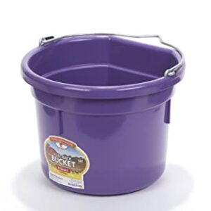 Little Giant® Flat Back Plastic Animal Feed Bucket | Animal Feed Bucket with Metal Handle | Horse Feed & Water Bucket | 8 Quarts | Purple