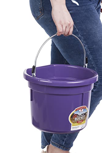 Little Giant® Flat Back Plastic Animal Feed Bucket | Animal Feed Bucket with Metal Handle | Horse Feed & Water Bucket | 8 Quarts | Purple