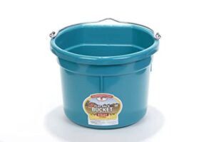 little giant® flat back plastic animal feed bucket | animal feed bucket with metal handle | horse feed & water bucket | 8 quarts | teal