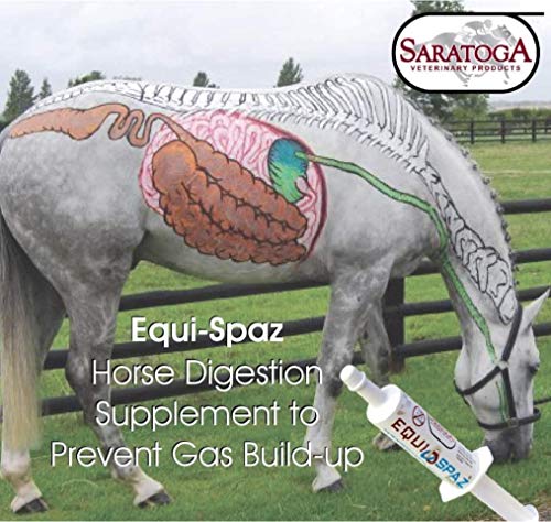 EQUI-SPAZ Horse Digestion Supplement to Prevent and relieves Gas Build-up (Relieves Colic in 15 Minutes) (1)