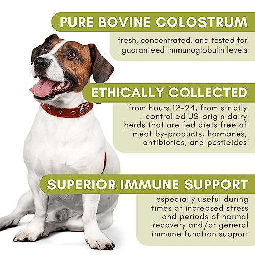 Wholistic Pet Organics: Bovine Colostrum Powder for Dogs and Cat Organic Dog Immune Supplement for Allergy and Itch Relief Colostrum for Puppies Allergy Medication for Dogs (2 oz)