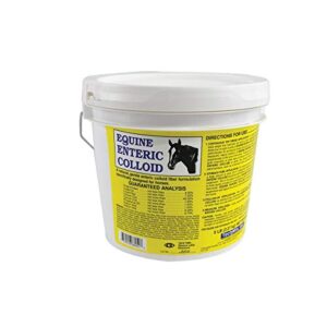 TechMix Equine Enteric Colloid