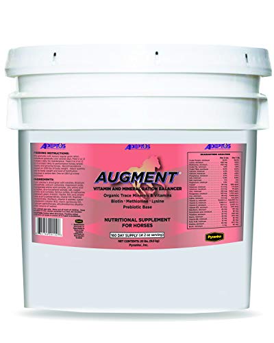 Adeptus Nutrition Augment Multi-Mineral and Vitamin EQ Joint Supplements, 20 lb./12 x 12 x 12