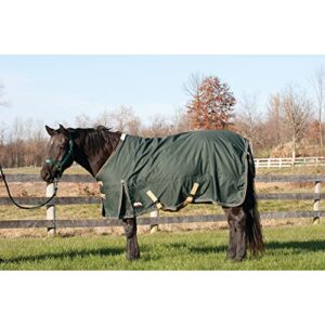 Weaver Leather Turnout Horse Blanket - Waterproof Protection - Easy-to-Fasten Snap Front Closures, 72", 1,200-denier