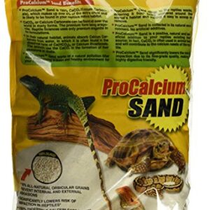 Reptile Sciences Terrarium Sand for Aquarium, 10-Pound, Natural White