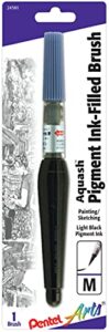 pentel arts aquash pigment ink brush, light black ink, pack of 1 (frhmnbpa), medium