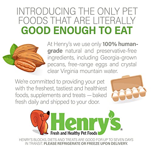 Henry’s Wild Bites – Nutritionally Complete Food for Squirrels, Flying Squirrels, and Chipmunks, 18 Ounces