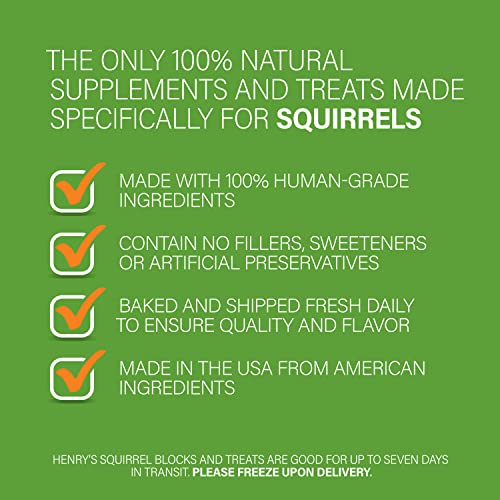 Henry’s Wild Bites – Nutritionally Complete Food for Squirrels, Flying Squirrels, and Chipmunks, 18 Ounces