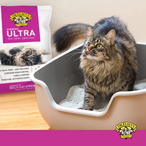 Dr. Elsey's Premium Clumping Cat Litter | Ultra Scented | 99.9% Dust-Free, Low Tracking, Hard Clumping, Superior Odor Control, Natural Ingredients & Moisture-Activated Scent