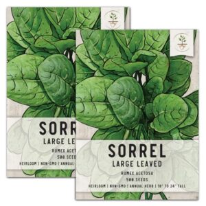 seed needs, large leaf sorrel seeds for planting (rumex acetosa) heirloom, non-gmo & untreated, great for salads