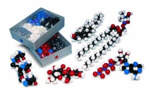 molymod mms-007 biochemistry model, teacher set (262 atom parts)