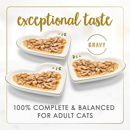 Purina Fancy Feast Gravy Lovers Poultry and Beef Gourmet Wet Cat Food Variety Pack - (24) 3 oz. Cans