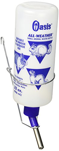 Kordon/Oasis (Novalek) SOA80850 Frosted All Weather Rabbit Water Bottle, 32-Ounce