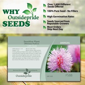 Outsidepride Mimosa Pudica Sensitive Plant Garden Flower Plants - 1000 Seeds