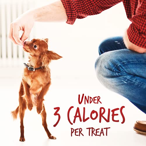 Fruitables Skinny Mini Dog Treats – Healthy Treats for Dogs – Low Calorie Training Treats – Free of Wheat, Corn and Soy – Apple Bacon – 5 Ounces