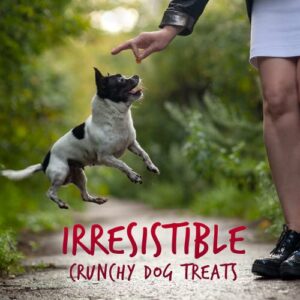 Fruitables Skinny Mini Dog Treats – Healthy Treats for Dogs – Low Calorie Training Treats – Free of Wheat, Corn and Soy – Apple Bacon – 5 Ounces