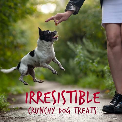 Fruitables Skinny Mini Dog Treats – Healthy Treats for Dogs – Low Calorie Training Treats – Free of Wheat, Corn and Soy – Apple Bacon – 5 Ounces