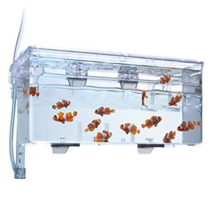 Fluval Multi-Chamber Holding and Breeding Box, Large – Up To 3 Separate Housing Compartments