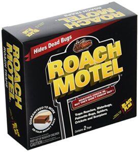 blackflag roach motel 61009 (12x2 pack total of 24 small boxes) c, 2 count (pack of 12)