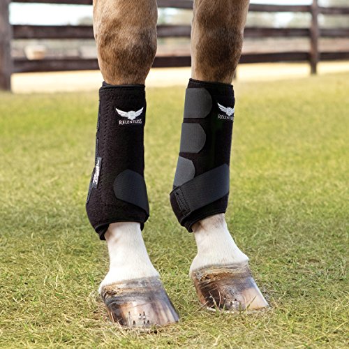 Pro Equine All-Around Front Splint Boots White L