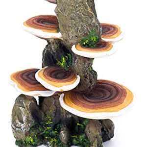 Penn-Plax Deco-Replicas Tree Trunk with Shelf Mushrooms Aquarium Decoration – Safe for Freshwater and Saltwater Fish Tanks – Medium