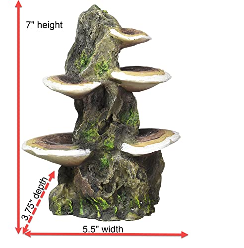 Penn-Plax Deco-Replicas Tree Trunk with Shelf Mushrooms Aquarium Decoration – Safe for Freshwater and Saltwater Fish Tanks – Medium