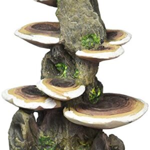 Penn-Plax Deco-Replicas Tree Trunk with Shelf Mushrooms Aquarium Decoration – Safe for Freshwater and Saltwater Fish Tanks – Medium