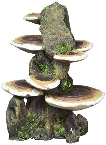 Penn-Plax Deco-Replicas Tree Trunk with Shelf Mushrooms Aquarium Decoration – Safe for Freshwater and Saltwater Fish Tanks – Medium