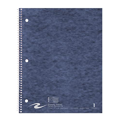 Roaring Spring Stasher One Subject Spiral Notebook, 11" x 9" 100 Sheets, Narrow Ruled , 3 Hole Punched, Cover Pockets, Assorted Cover Colors