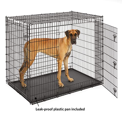 Midwest Homes for Pets SL54DD Ginormus Double Door Dog Crate for XXL for the Largest Dogs Breeds, Great Dane, Mastiff, St. Bernard, Black