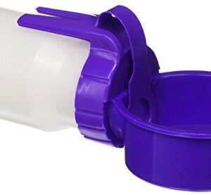 Water Rover Smaller 3-Inch Bowl and 8-Ounce Bottle, Purple