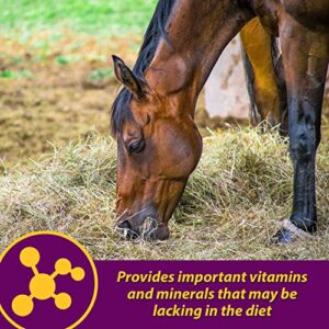 Horse Health Red Cell Pellets, Vitamin-Iron-Mineral Supplement for Horses, Helps Fill Important Nutritional Gaps in Horse's Diet, 4 lbs., 64-Day Supply