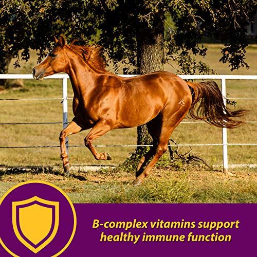 Horse Health Red Cell Pellets, Vitamin-Iron-Mineral Supplement for Horses, Helps Fill Important Nutritional Gaps in Horse's Diet, 4 lbs., 64-Day Supply