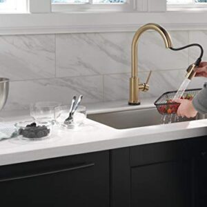 Delta Faucet Trinsic Gold Kitchen Faucet Touch, Touch Kitchen Faucets with Pull Down Sprayer, Kitchen Sink Faucet, Faucet for Kitchen Sink, Touch2O Technology, Champagne Bronze 9159T-CZ-DST