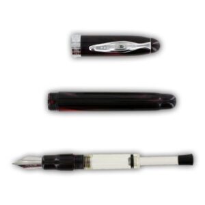 Noodler's Ink Ahab Flex Fountain Pen with Twist-Fill Piston, Stainless Steel Fine Nib, Cardnial Dark (15029)