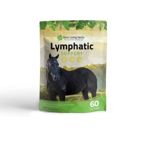 Silver Lining Herbs 35 Lymphatic Support - Supports and Maintains the Natural Function of the Horse Lymphatic System - Natural Herbs for Equine Health - Proprietary Herbal Blend for Horses - 1 lb Bag