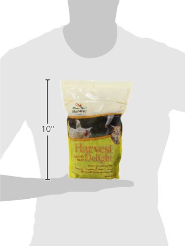 Manna Pro Chicken Treats - Harvest Delight Chicken Scratch - Chicken Feed Treat - Chicken Scratch Feed - 2.25 Pounds