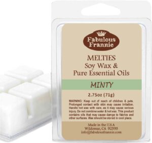 fabulous frannie minty pure & natural soy candle meltie/tart/melts made with pure spearmint and peppermint essential oils 2.75oz