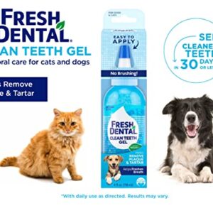 Naturel Promise Fresh Dental Clean Teeth Gel, 4 Fl Oz - Easy to Use Pet Dental Gel That Helps Remove Plaque, Tartar, and Freshen Breath-No Brushing Pet Oral Care for Dog Dental Care, Cat Dental Care