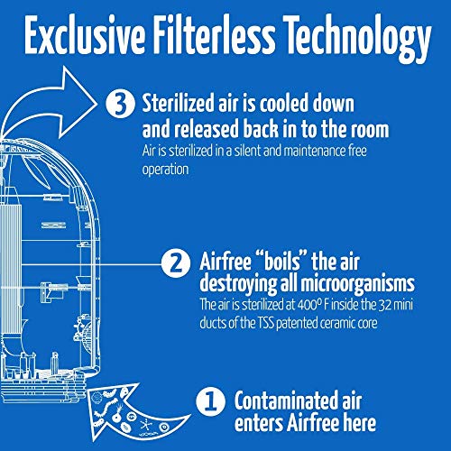 AIRFREE P Filterless Silent Air Purifier for Home I Requires No Filter, Fan, or Humidifier (P2000)