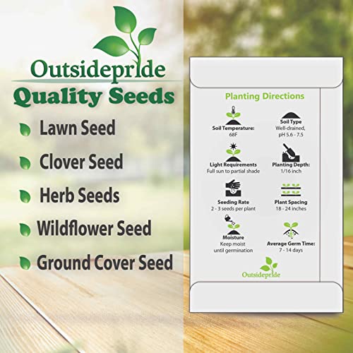Outsidepride Perennial Russells Lupine Wild Flower Mix & Butterflies & Hummingbirds - 500 Seeds
