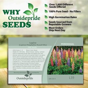 Outsidepride Perennial Russells Lupine Wild Flower Mix & Butterflies & Hummingbirds - 500 Seeds
