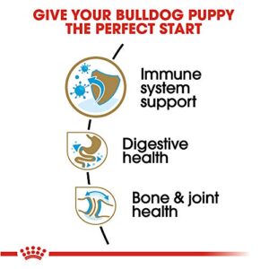 Royal Canin Bulldog Puppy Dry Dog Food, 30 lb bag