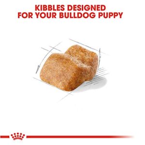 Royal Canin Bulldog Puppy Dry Dog Food, 30 lb bag