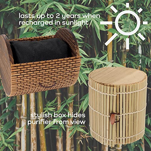 BambooMN Granulated Bamboo Charcoal Odor Absorber Bag in Decorative 4" Green Cylinder, 2 Sets