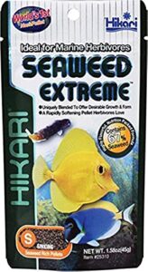 hikari seaweed extreme floating seaweed rich pellets for smaller marine herbivores 1.58oz (45g)